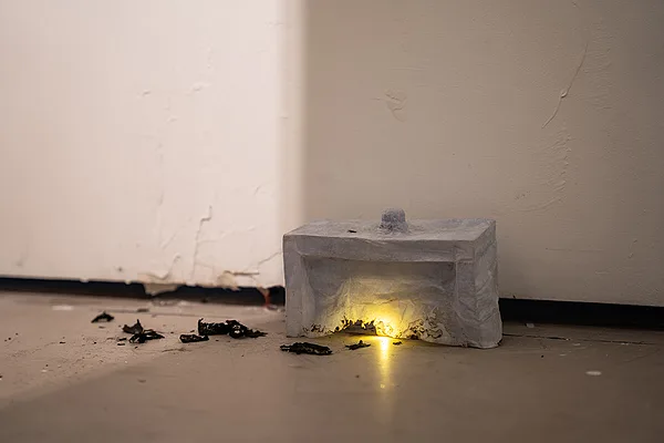 Echoes of the Invisible.| Paper|16x8.5x7cm| 2026